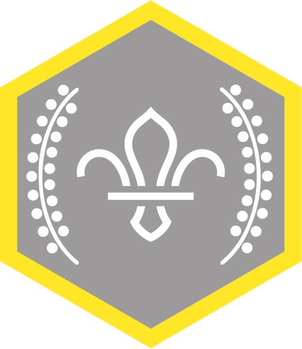 Chief Scout's Silver Award for Cub Scouts